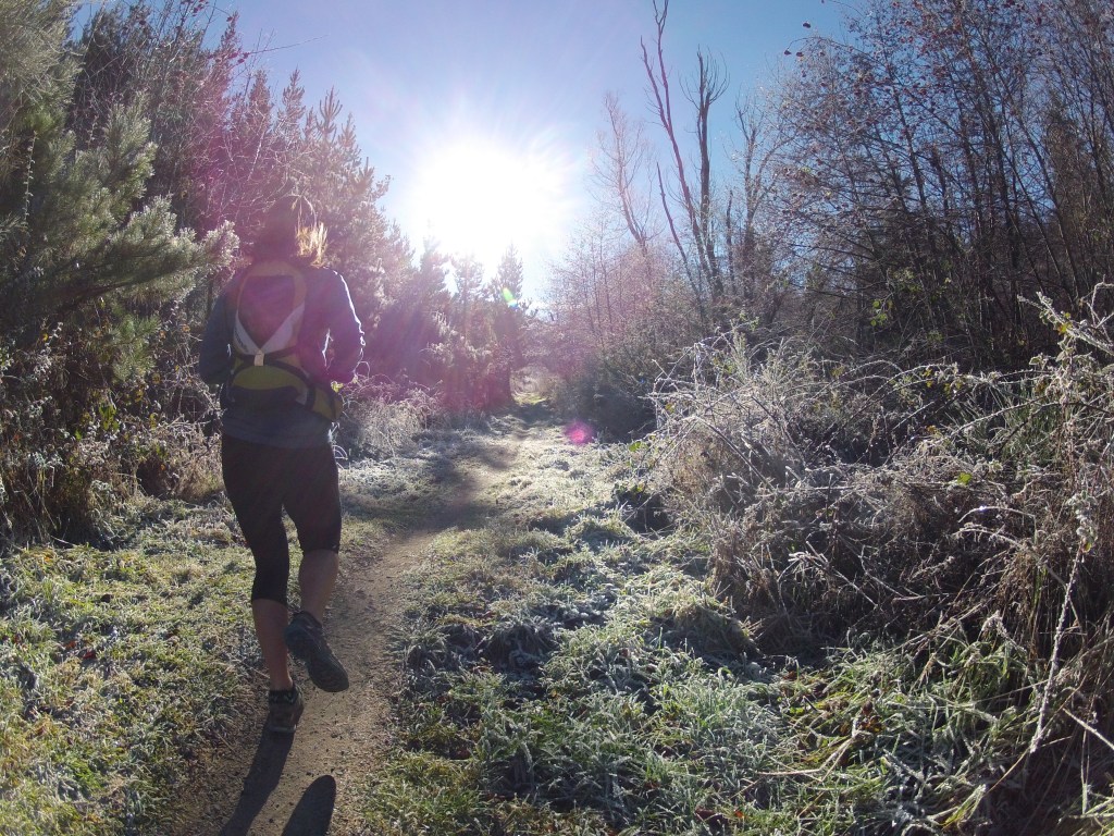 Frozen morning in Hanmer