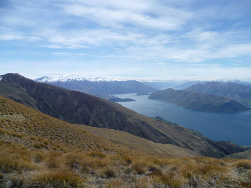 View from the Skyline track...not too bad