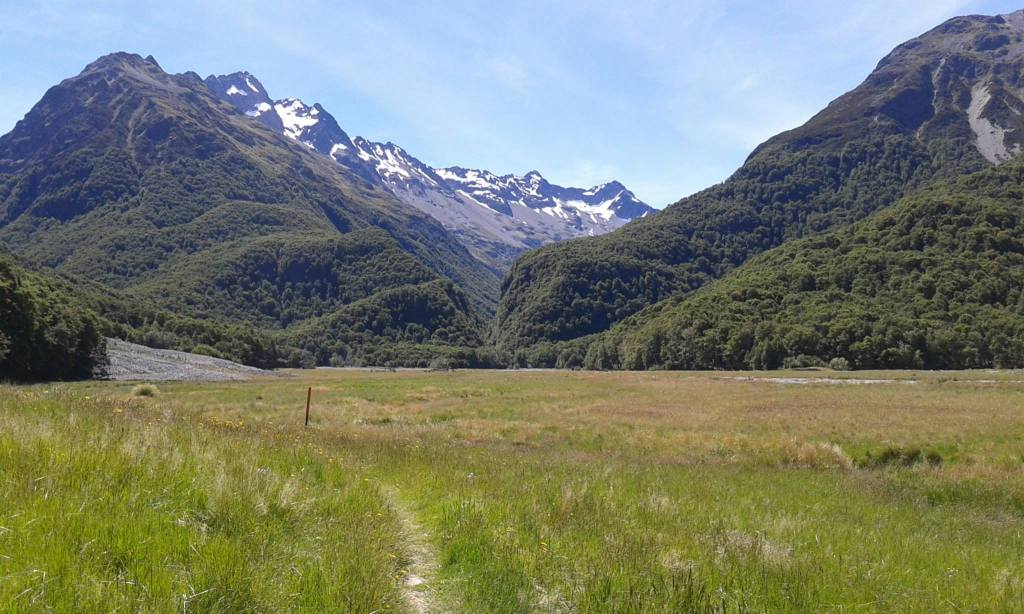 Looking up towards Canyon Creek