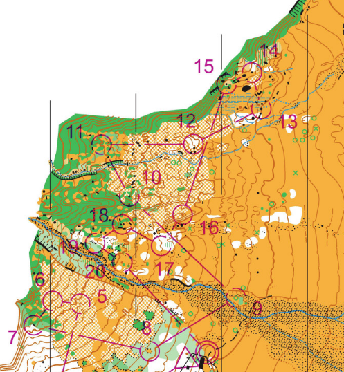 Matukituki my new favorite/hometown orienteering map!
