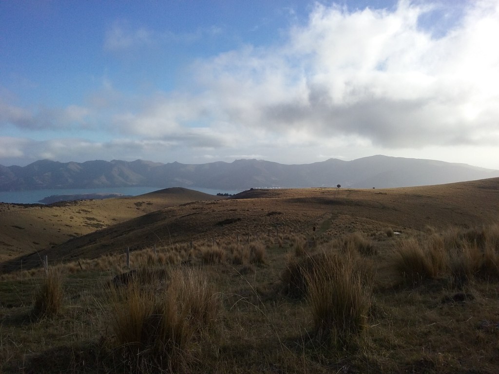 Making our way up Mt Herbert