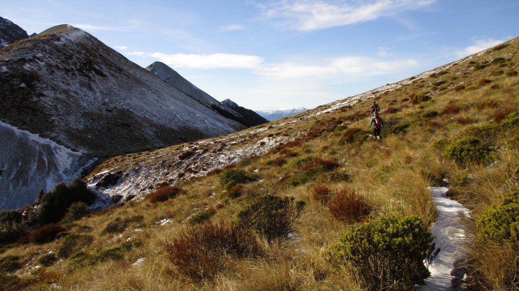 Cass Saddle