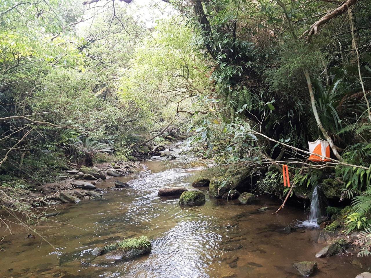 2018 NZ Rogaine&nbsp;Champs