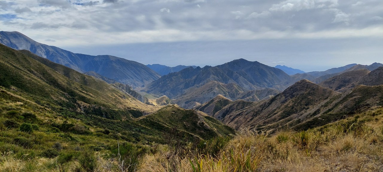 Palmer Saddle Packraft