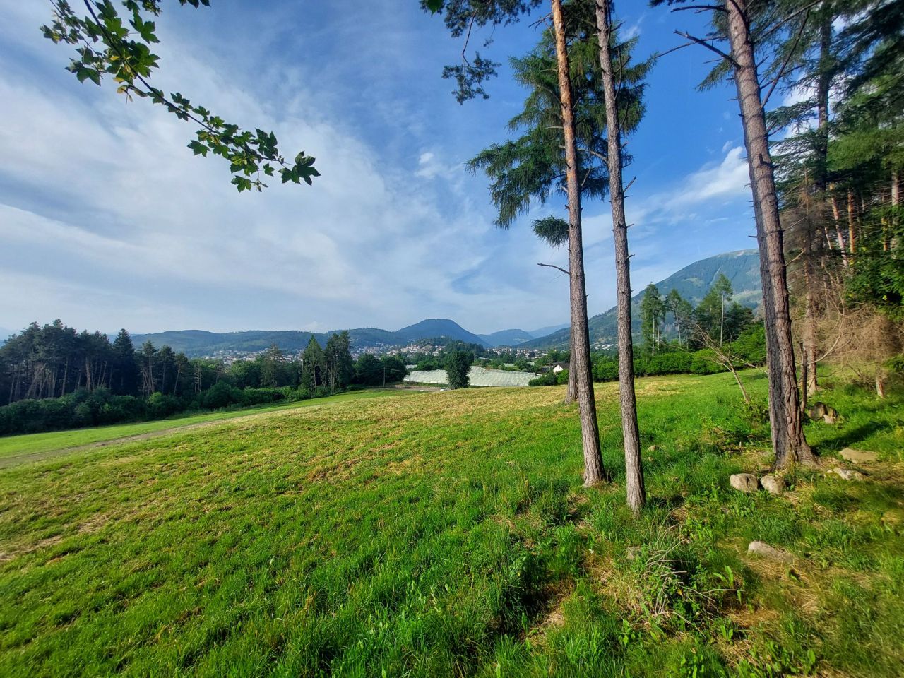 EurO-Trip 2025 Italy – Part 1, JWOC&nbsp;Training